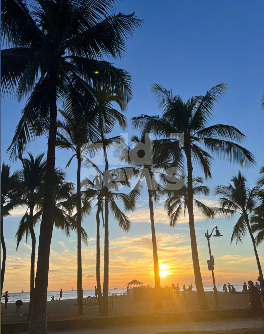 Honolulu: el paraíso hawaiano se encuentra con la vida urbana